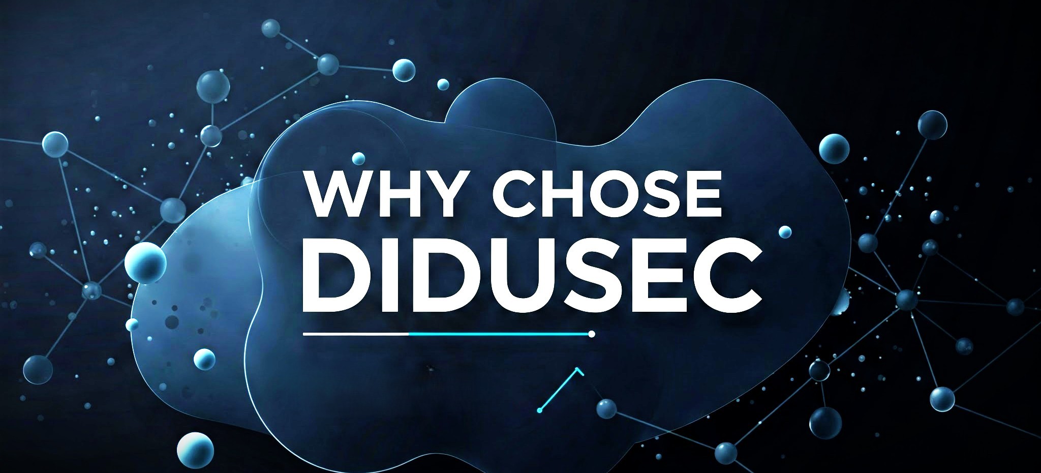 Why Choose DIDUSEC